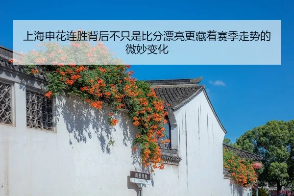 shang-hai-shen-hua-lian-sheng-bei-hou-bu-zhi-shi-bi-fen-piao-liang-geng-cang-zhe-sai-ji-zou-shi-de-wei-miao-bian-hua-2-777.jpg